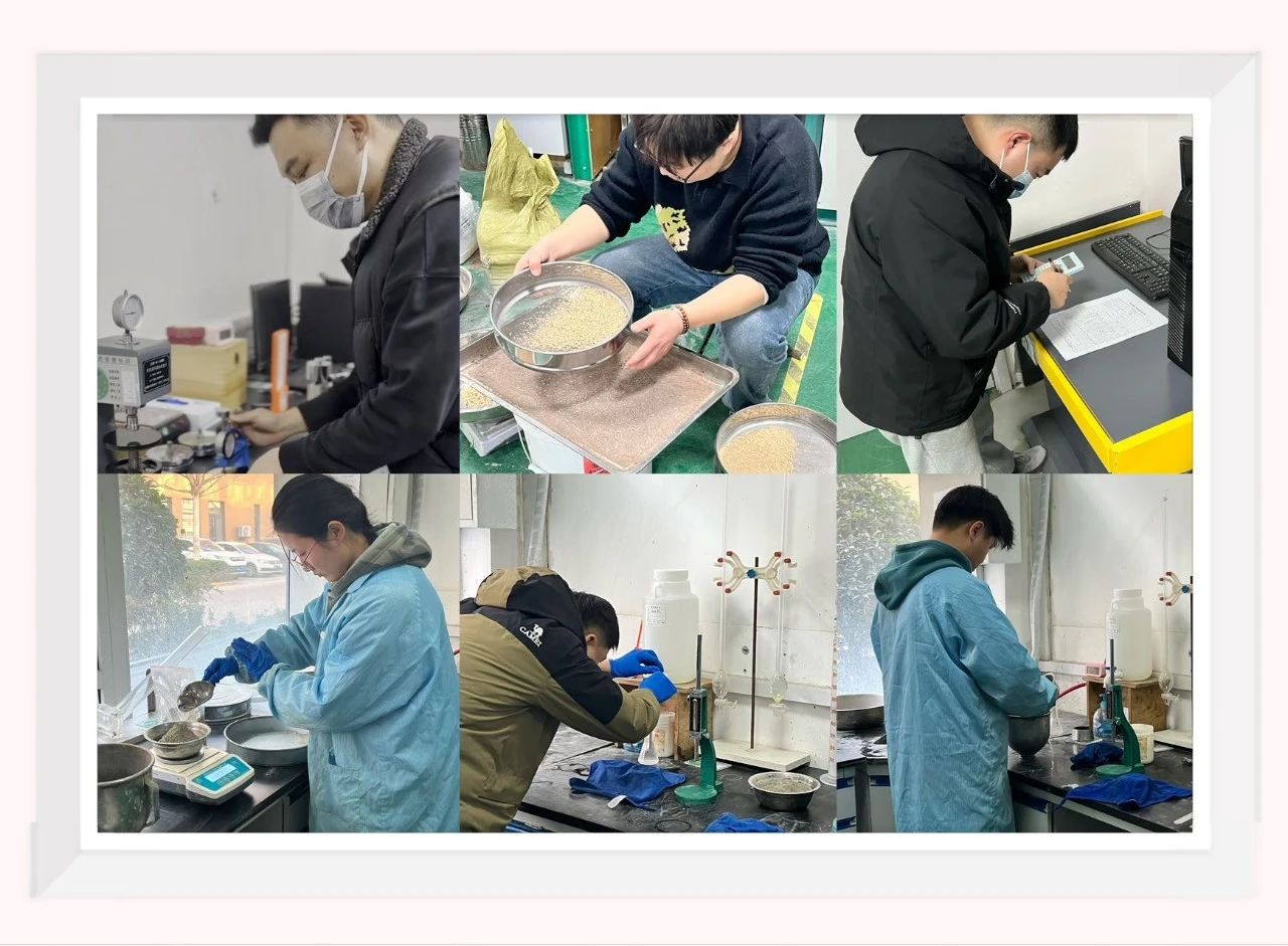 1736498550921620.jpg 3.jpg